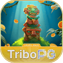TRIBOPG
